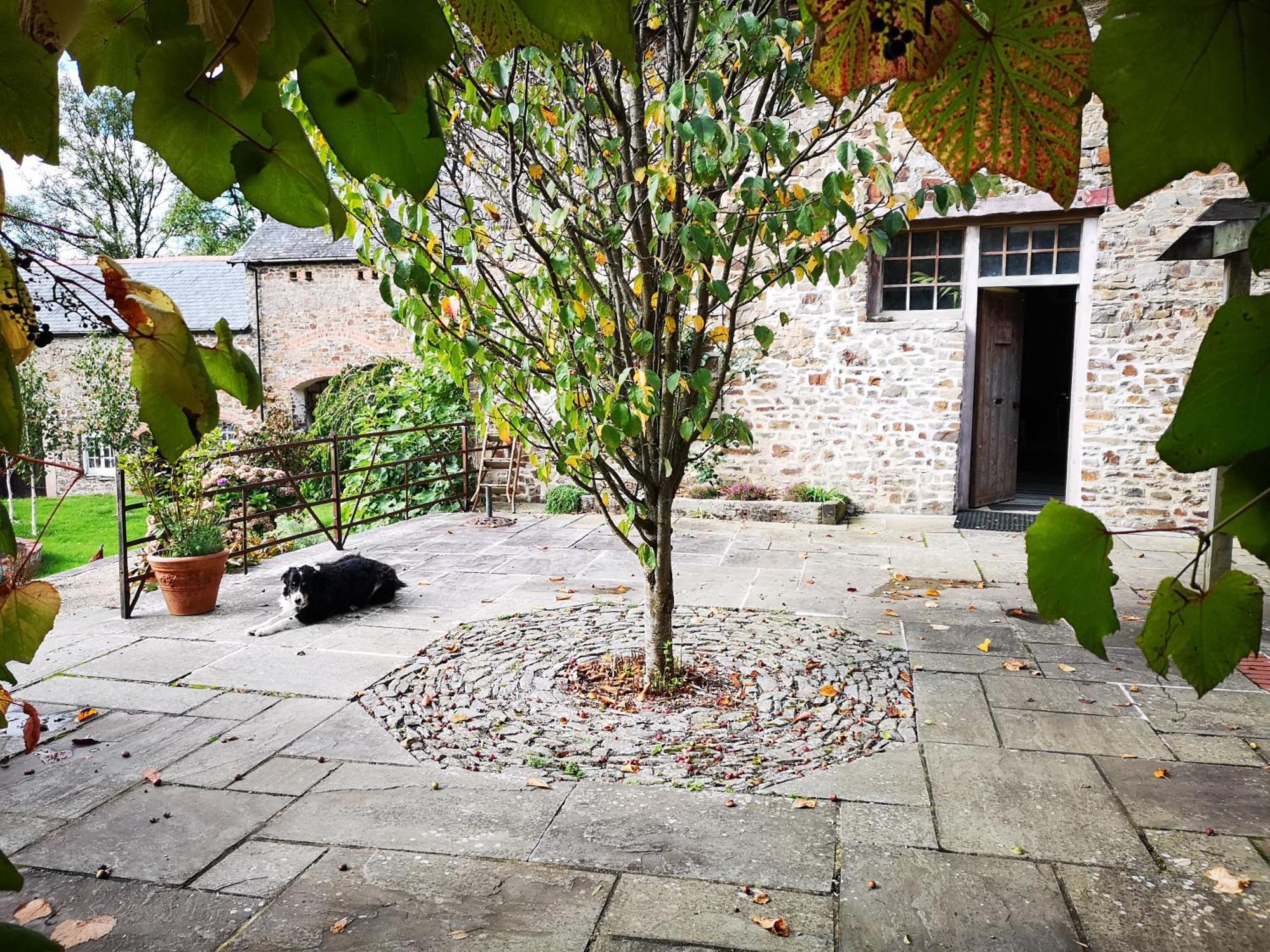 Whitechapel Cottages South Molton Exterior foto